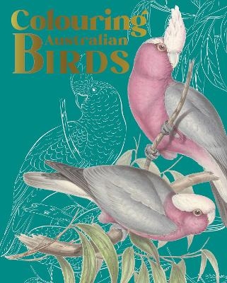 Colouring Australian Birds