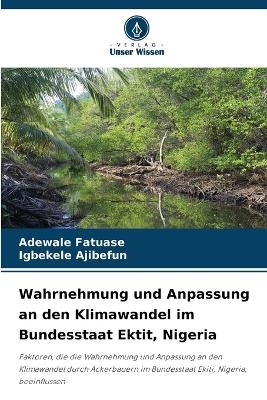 Wahrnehmung und Anpassung an den Klimawandel im Bundesstaat Ektit, Nigeria