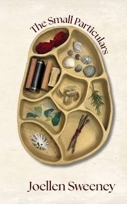 The Small Particulars - Joellen Sweeney