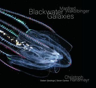 Manfred Wakolbinger – Blackwater Galaxies