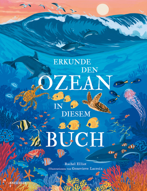Erkunde den Ozean in diesem Buch - Rachel Elliot