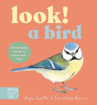 Look! A Bird! - Anya Serota