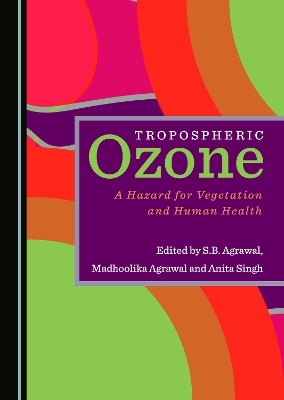 Tropospheric Ozone - 