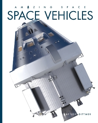 Space Vehicles - Lori Dittmer