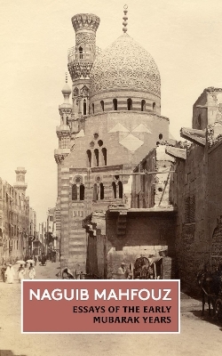 Essays of the Early Mubarak Years