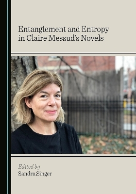 Entanglement and Entropy in Claire Messud's Novels