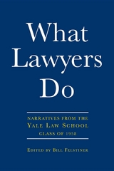 What Lawyers Do - 