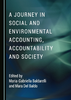 A Journey in Social and Environmental Accounting, Accountability and Society