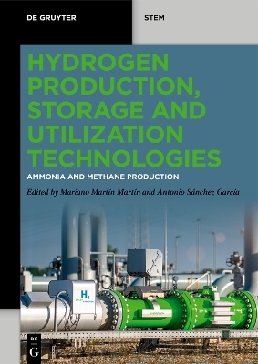 Hydrogen Production, Storage and Utilization Technologies - 