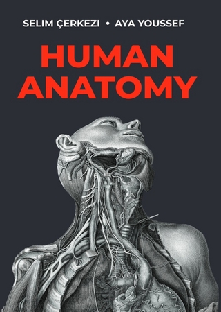 Human Anatomy