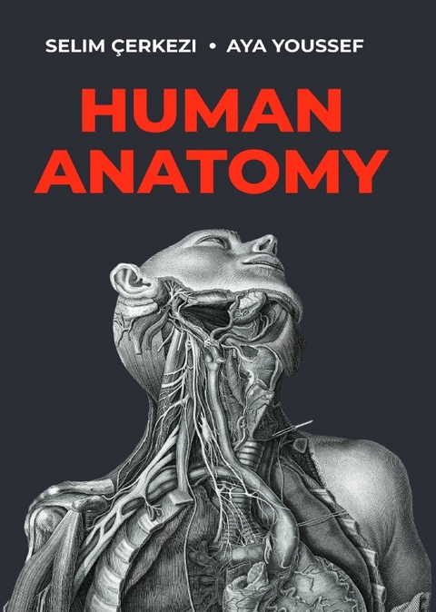 Human Anatomy - Selim &Ccedil;erkezi, Aya Youssef