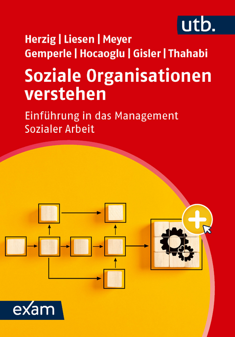 Soziale Organisationen verstehen - Michael Herzig, Christian Liesen, Gina Meyer, Sergio Marco Gemperle, Melike Hocaoglu, Fiona Gisler, Esther Thahabi