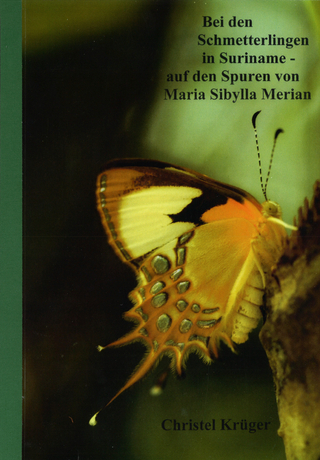 Bei den Schmetterlingen in Suriname - auf den Spuren von Maria Sibylla Merian - Christel Krüger