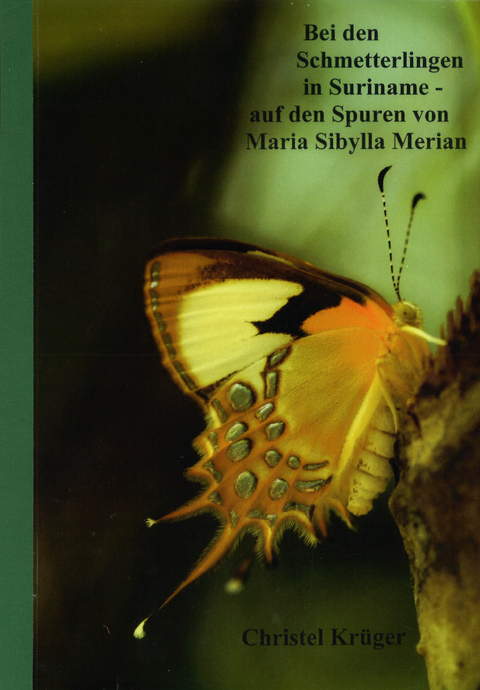 Bei den Schmetterlingen in Suriname - auf den Spuren von Maria Sibylla Merian - Christel Krüger