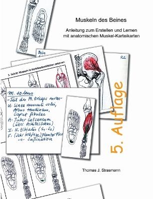 Muskeln des Beines - Thomas J. Strasmann
