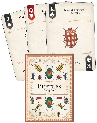 Beetles Playing Cards