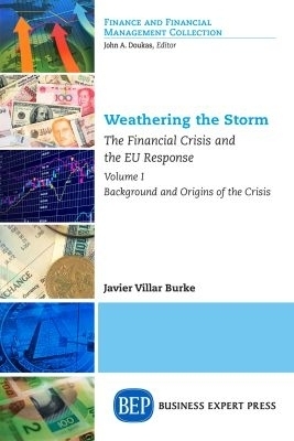 Weathering the Storm - Javier Villar Burke