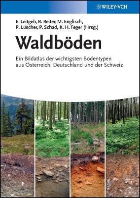 Waldböden