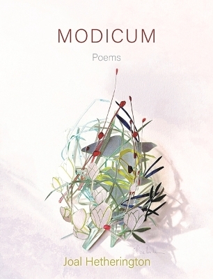 Modicum - Joal Hetherington