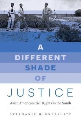 A Different Shade of Justice - Stephanie Hinnershitz