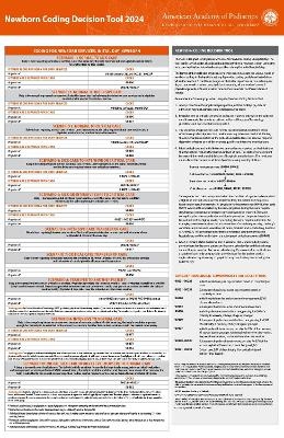 Newborn Coding Decision Tool 2024