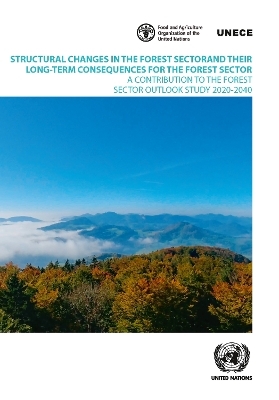 Structural changes in the forest sector and their long-term consequences for the forest sector