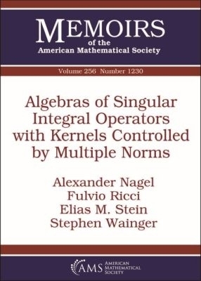 Algebras of Singular Integral Operators with Kernels Controlled by Multiple Norms