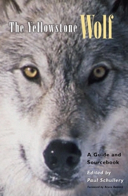 The Yellowstone Wolf - 