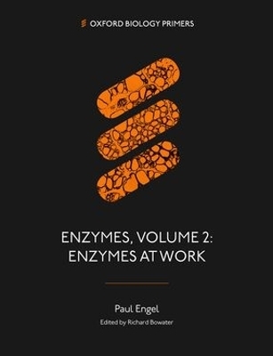 Enzymes, Volume 2 - Paul Engel