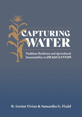 Capturing Water - R Gwinn Vivian, Samantha G. Fladd