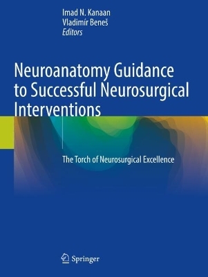 Neuroanatomy Guidance to Successful Neurosurgical Interventions