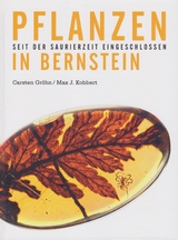 Pflanzen in Bernstein - Gröhn, Carsten