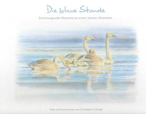 Die blaue Stunde - Christopher Schmidt