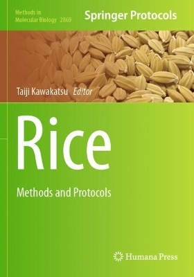 Rice - 