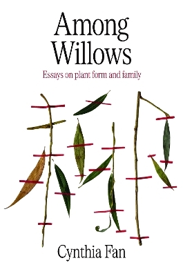 Among Willows - Cynthia Fan