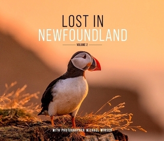 Lost in Newfoundland: Volume 2