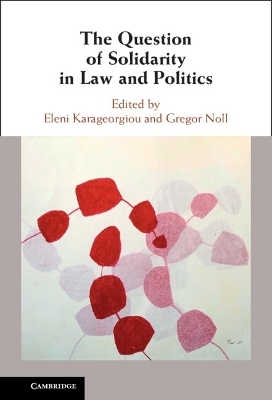 The Question of Solidarity in Law and Politics - 