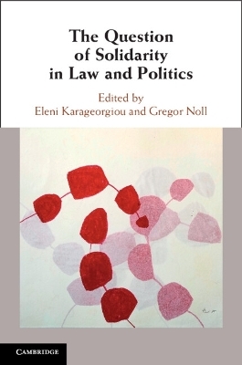 The Question of Solidarity in Law and Politics