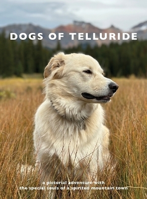 Dogs of Telluride - 