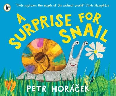 A Surprise for Snail - Petr Hor&aacute;cek