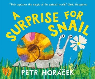A Surprise for Snail - Petr Hor&aacute;cek