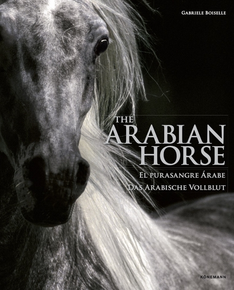 Arabian Horses