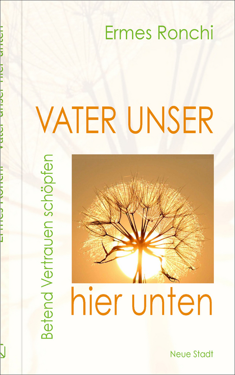 Vater unser hier unten - Ermes Ronchi