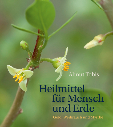 Heilmittel f&uuml;r Mensch und Erde - Almut Tobis