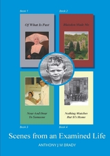 Scenes from an Examined Life - anthony brady