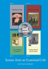 Scenes from an Examined Life - anthony brady