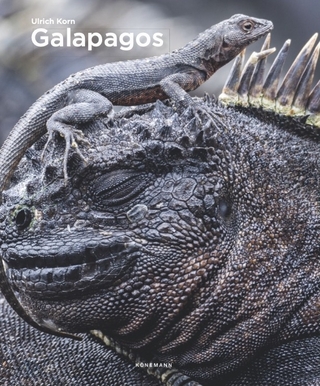 Galapagos Islands - 