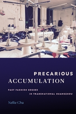 Precarious Accumulation - Nellie Chu