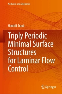 Triply Periodic Minimal Surface Structures for Laminar Flow Control