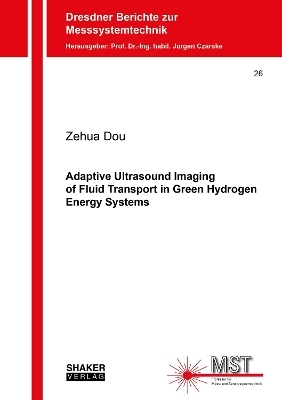 Adaptive Ultrasound Imaging of Fluid Transport in Green Hydrogen Energy Systems